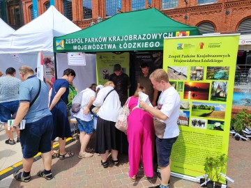 Jarmark Wojewódzki w Manufakturze w Łodzi, 